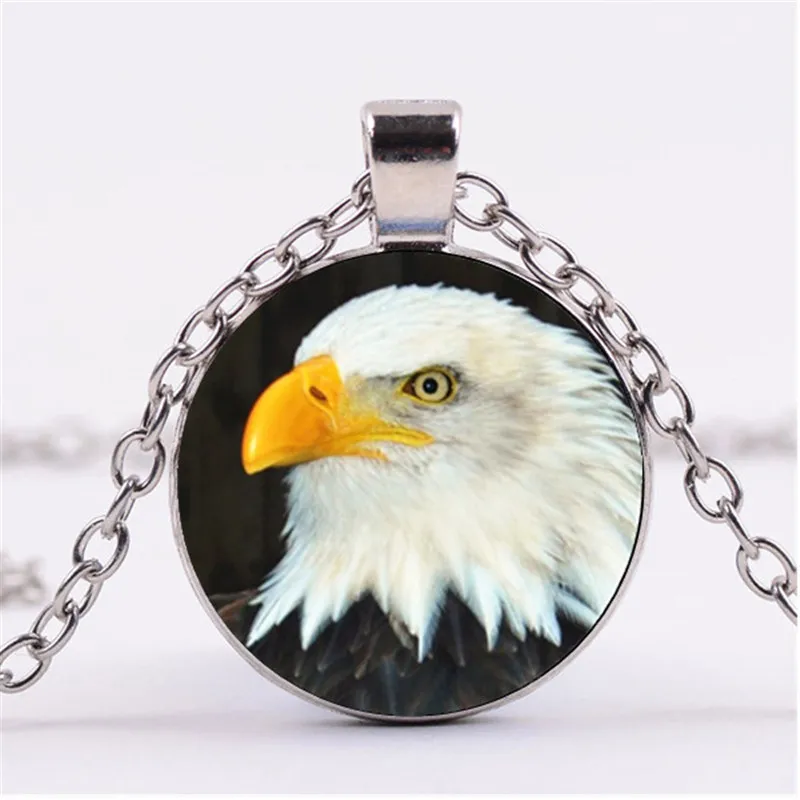 Новый bald eagle кабошон с фото стеклянной цепочкой ожерелье очаровательные