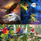 Набор для алмазной вышивки сделай сам, мозаика с птицами, Набор для вышивки крестиком