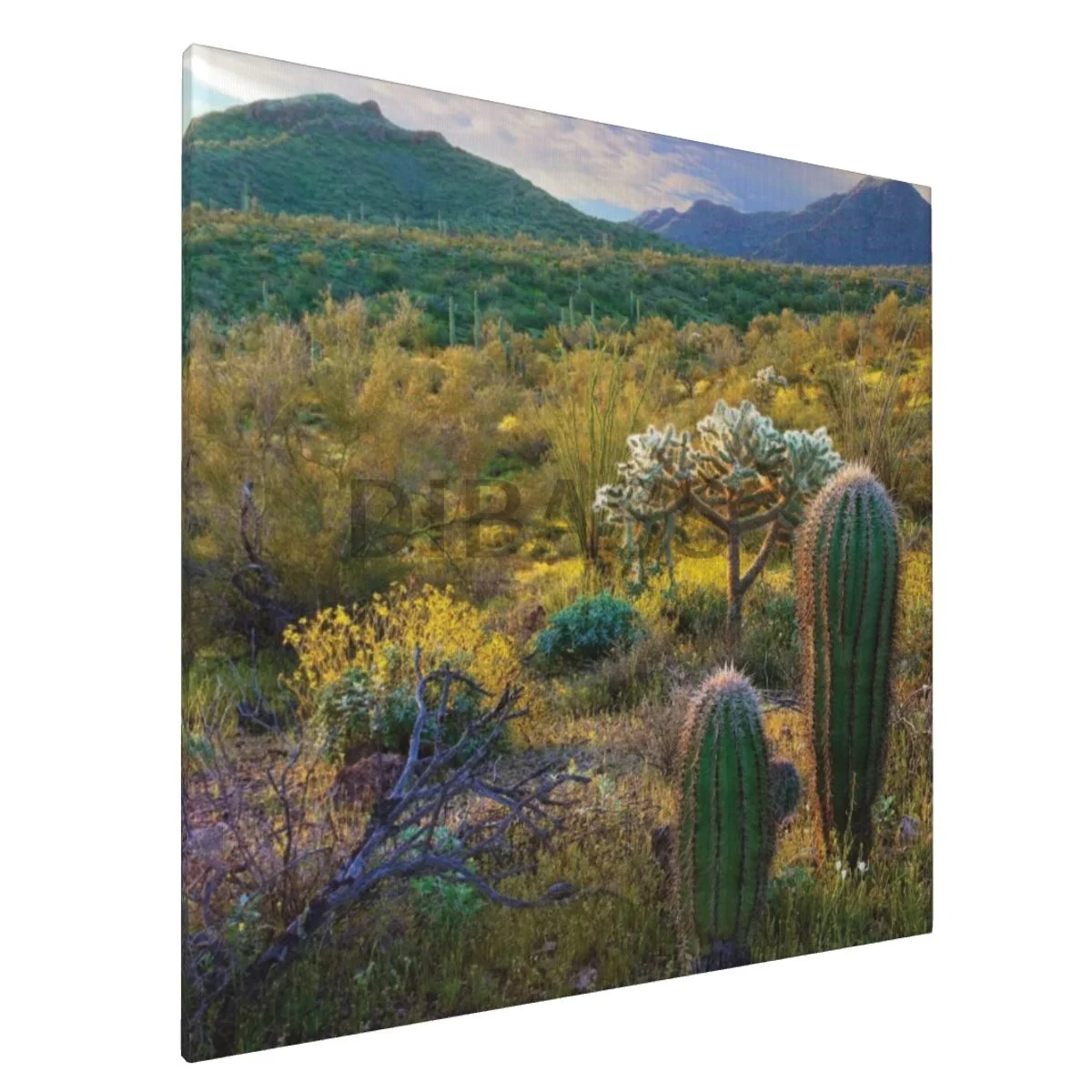 

Горы АХО, напольные трубы, кактус, Национальный памятник, холст, печать с рамкой, настенная живопись, домашний декор для гостиной, спальни