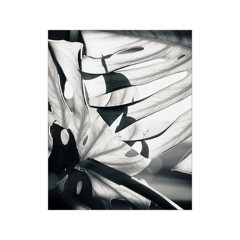 

Glass Wall Art Canvas Wall Art Aesthetic Room Decor Wall Poster Canvas No Frame Poster Pictures for Home Design Wall Art Canvas