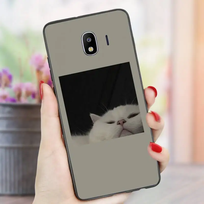 

cute cat Phone Case For samsung Galaxy J5 2016 prime J6 J7 J8 note 5 7 8 9 10 20 lite plus pro Black Soft nax fundas cover