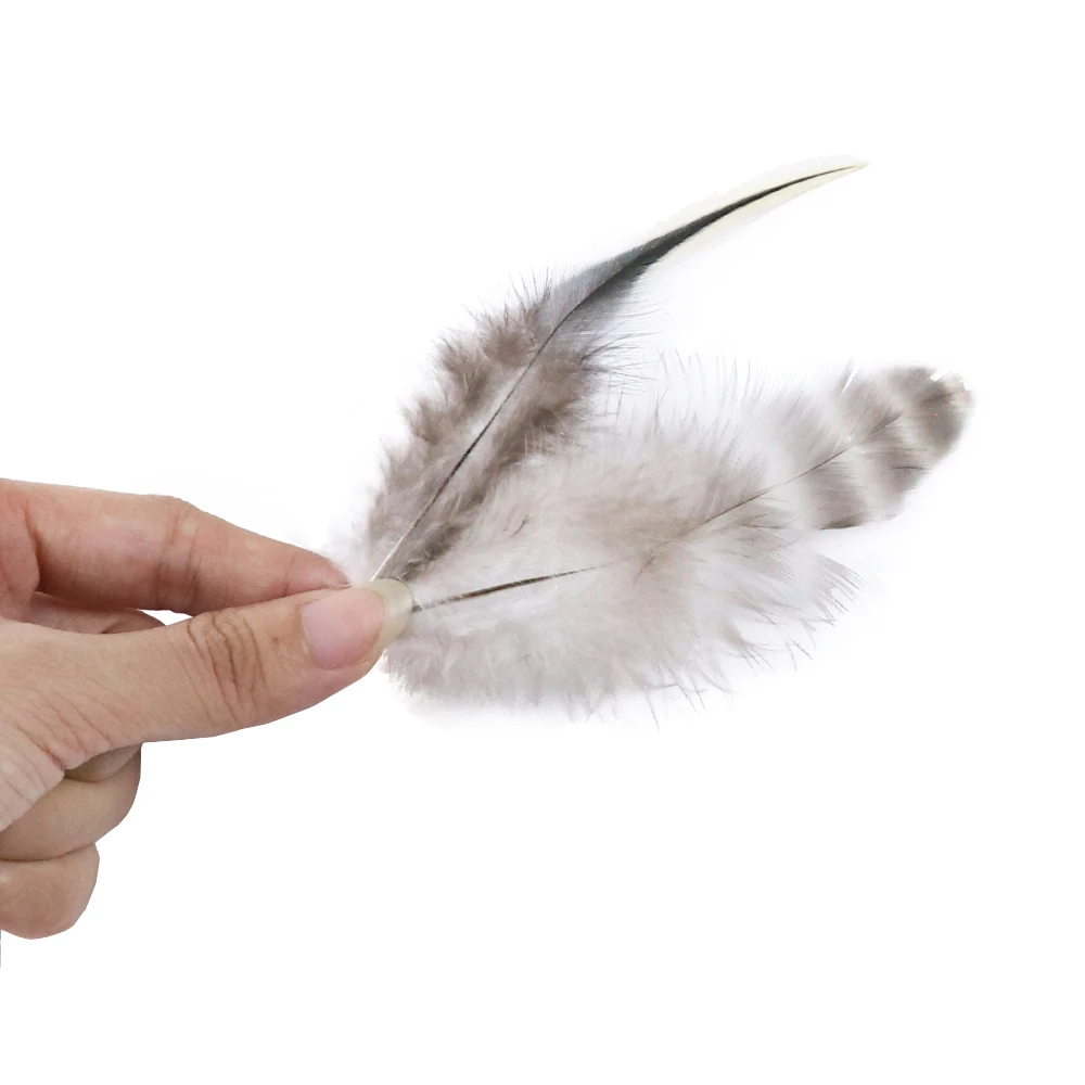Натуральные петушиные перья 100 шт./лот рождественские украшения сделай сам