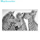 Три зебры Алмазная картина круглая полная дрель Nouveaute DIY мозаика вышивка 5D Вышивка крестиком черно-белые животные картинки