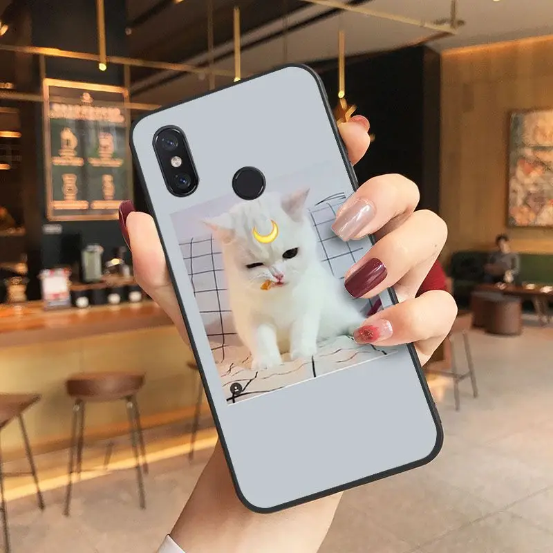 Cute Funny Kitten Cat Soft black Phone Case For Xiaomi Mi 6 6plus 8 8SE 9 9SE 6X Note2 Note3 Coque Shell Cover