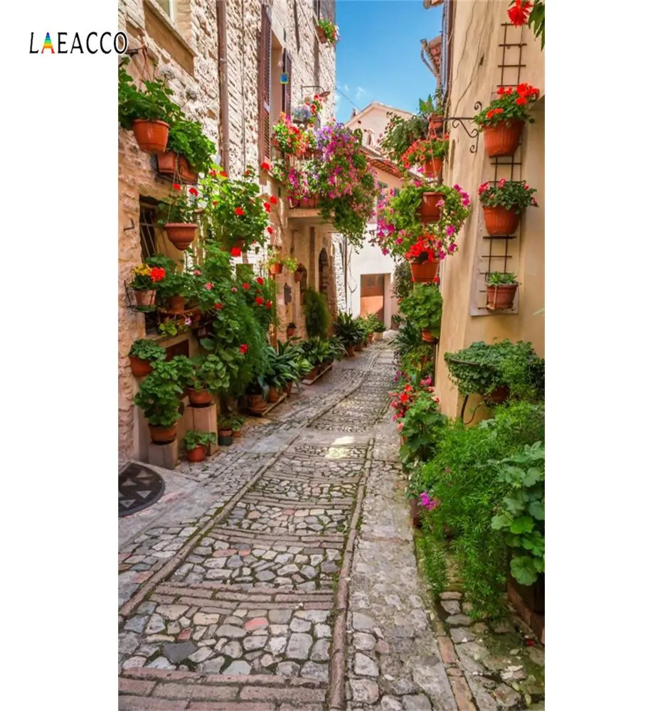 Laeacco Старый город горшках с цветочной Alley коридор дом живописные фото Фоны