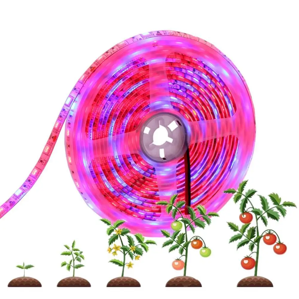 

12V 1m 2m 3m 5m LED Grow Light IP65 Waterproof 60LED/m Full Spectrum Phyto Plant Tape Lamp for Indoor Flowers seed Hydroponic