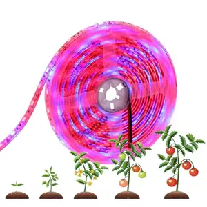 Светодиодная Водонепроницаемая фитолампа полного спектра для выращивания растений, лампа для комнатных цветов, семян, гидропонных систем, 12 В, 1 м, 2 м, 3 м, 5 м, IP65, 60 светодиодный одовм