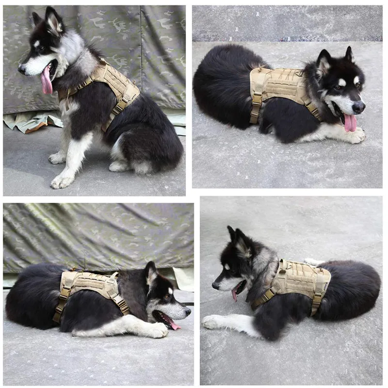 Тактический Жилет для собак тренировочный охотничий нейлоновый