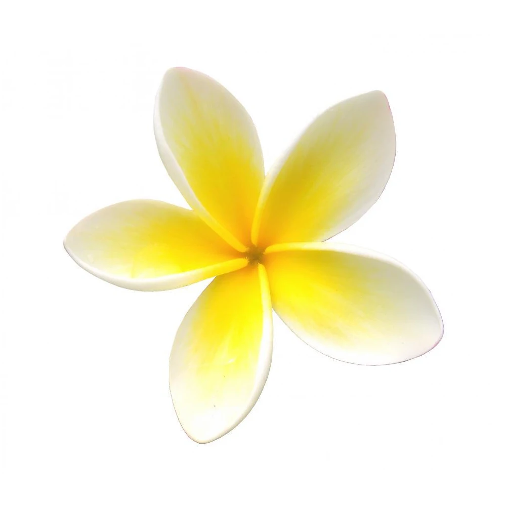 Frangipani эфирное масло AKARZ бренд жирности Косметика лампы в форме свечи мыло ароматы