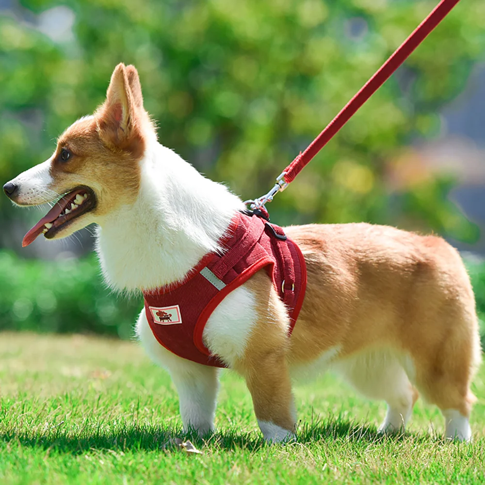 

Breathable Collar Pet Accessories for Small Medidum Large Pets Dog Harness with Leash Dog Collar Adjustable Vest Walking Soft