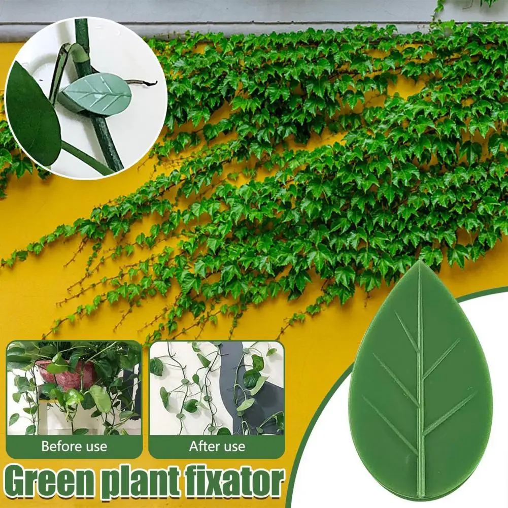 

Plant Climbing Clip Punch Free Not Easy Fall Off Plastic Wall Vines Fixture Clip for Home