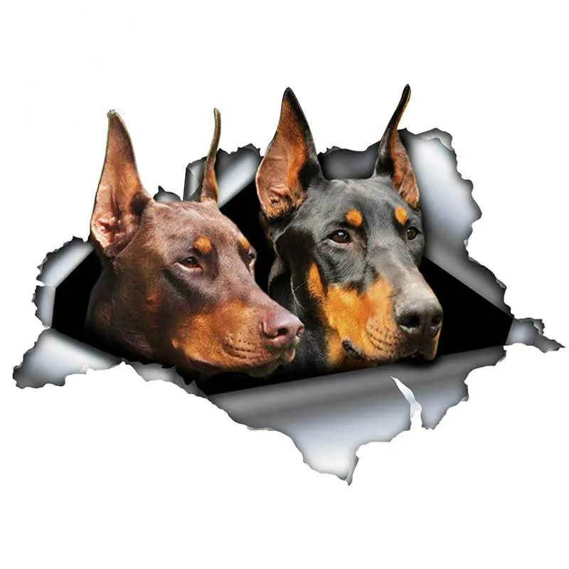 

Car Stickers Decor Motorcycle Decals Black and Red Doberman Decorative Accessories Creative Sunscreen Waterproof PVC,13cm*10cm