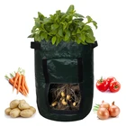 Тканевые мешки для выращивания картофеля, садовые горшки для посадки овощей, мешки для выращивания, сельскохозяйственный инструмент для дома и сада