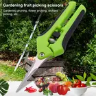 Садовый секатор из нержавеющей стали, ручной инструмент для обрезки и резки винограда, фруктов, травы