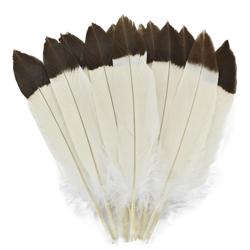 

10Pcs/Lot Natural Eagle Bird Feathers for Crafts 40-45cm/16-18inch White Black Long Diy Pheasant Feather Decor Plumes Decoration