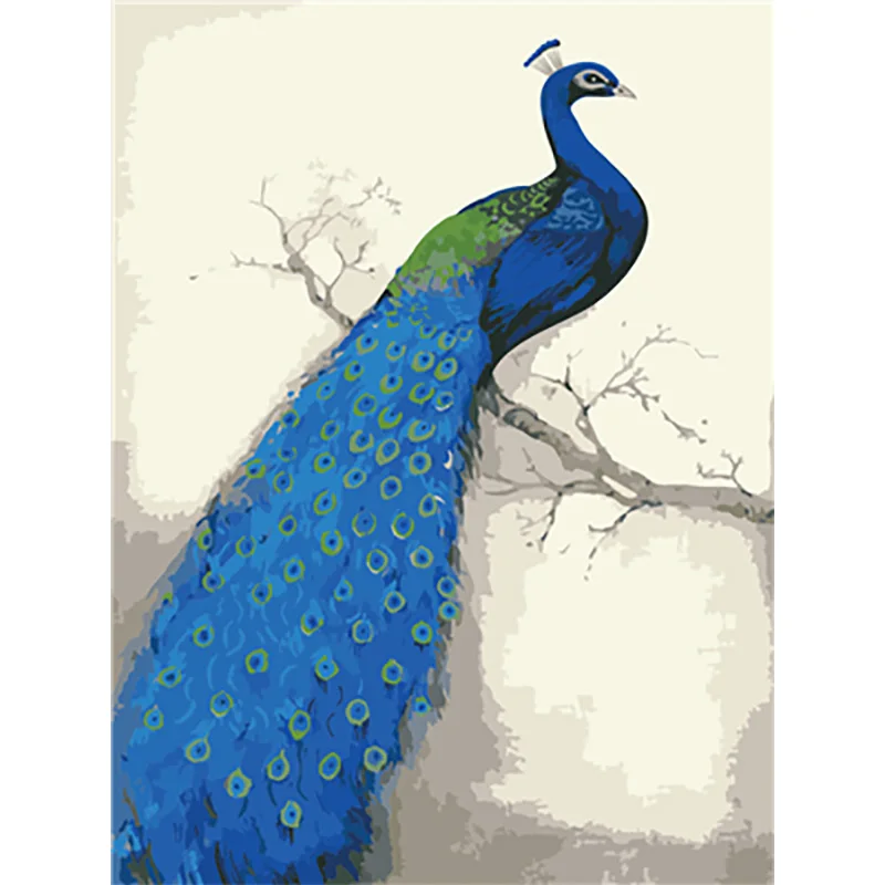 Paint by Number6 Павлин краски по номерам Schilderen op Nummer холст Lienzo для взрослых раскраска Pintura por Numero DIY - Цвет: Paint by Number6