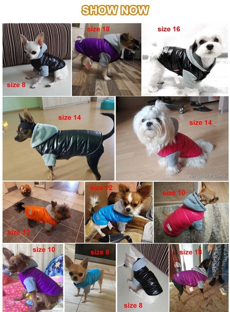 Pawstrip мягкое теплое пальто для собаки щенка куртка флисовая подкладка зимняя одежда для собак чихуахуа Французский бульдог Ши тцу Одежда для собак