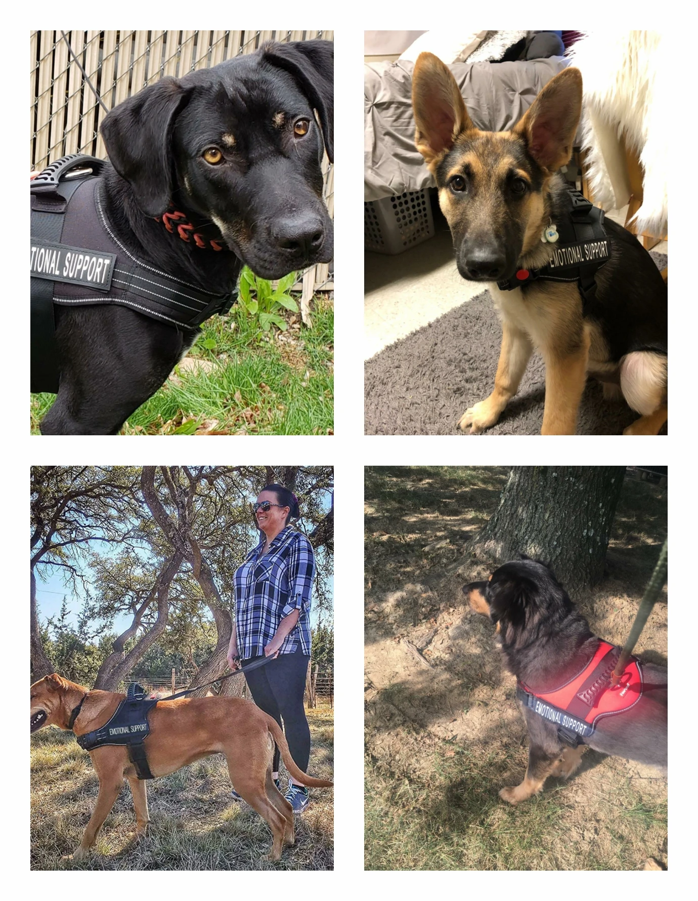 Solide Hunde weste reflektieren des Geschirr Haustier verstellbares Nylon halsband abnehmbare Patches Hunde training im Freien gehen mittelgroße Hunde – Detail 8
