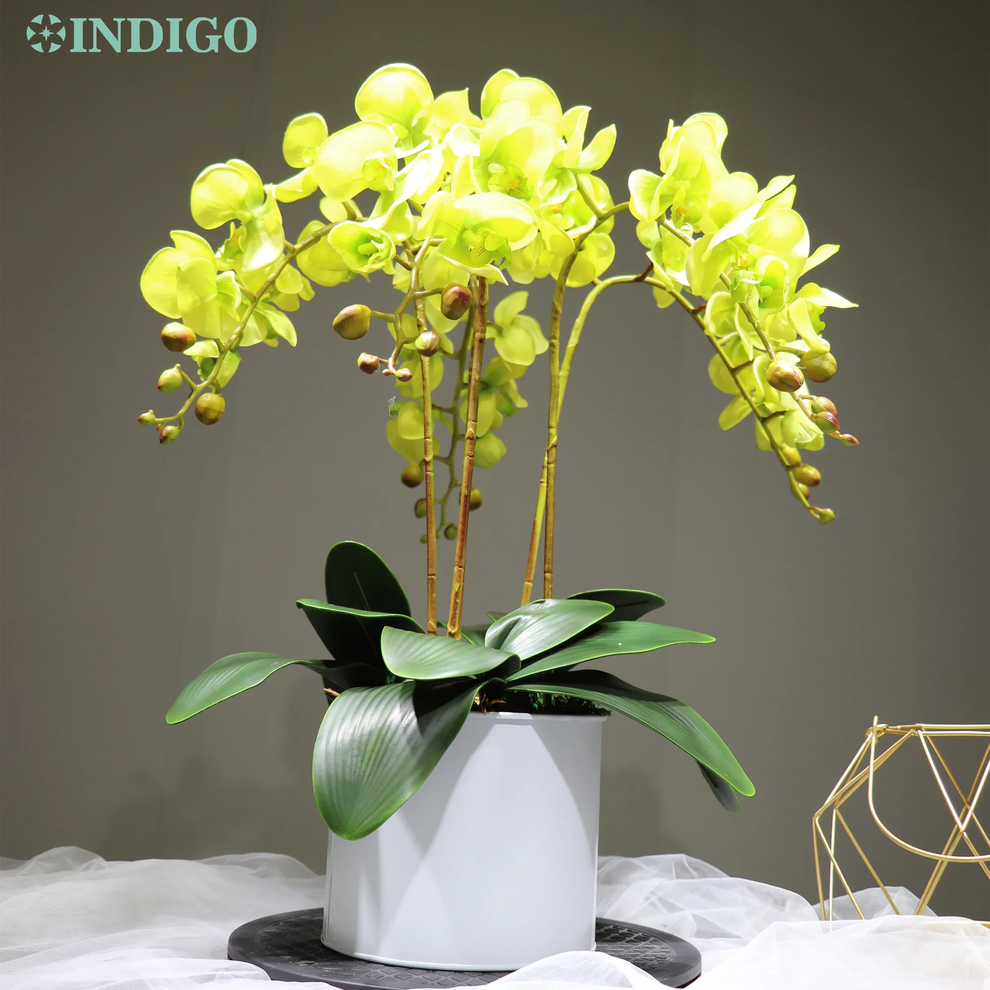 

INDIGO -Green Orchid Flower Arrangment ( 5Pcs Flower+3 Leaf+Pot Optional) Real Touch Wedding Decorative Flower Event Centerpiece
