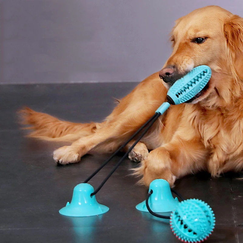 

Pet Products
