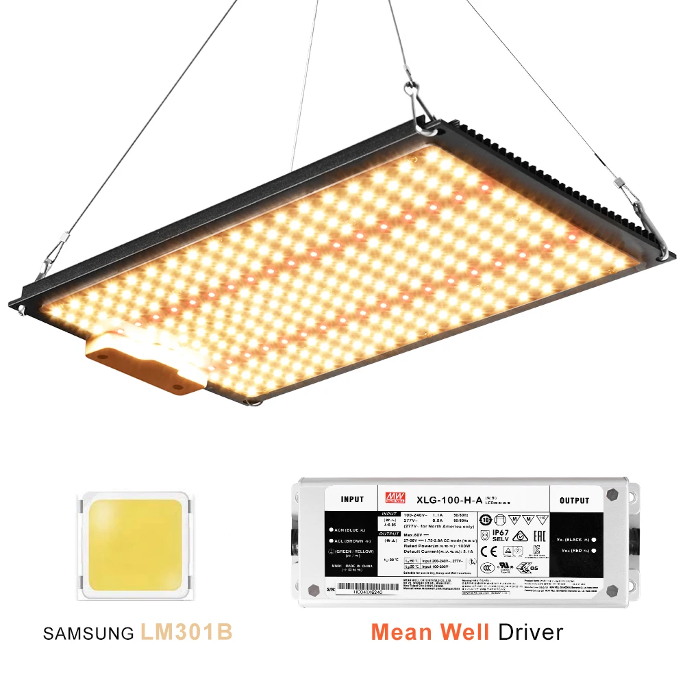 

Полный спектр 240 Вт led grow light 252 шт. 3000K LM301B samsung Chip 660nm красный Вег/Bloom состоянии с водителем Meanwell