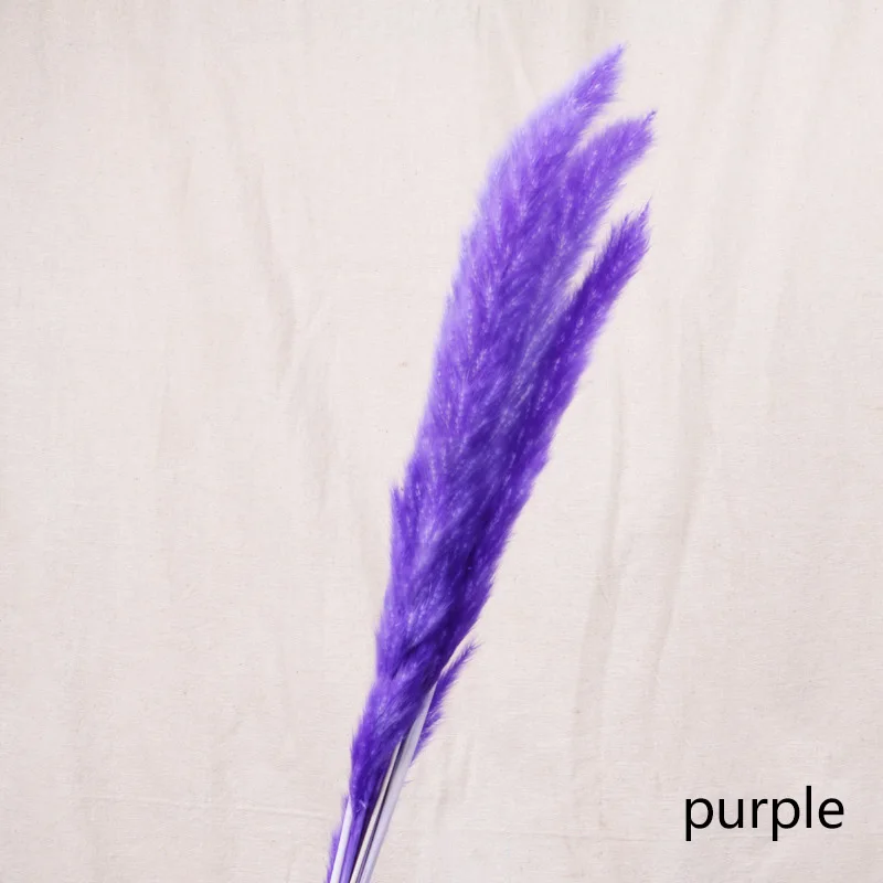 purple 7 шт. Bulrush Натуральные Сушеные маленькие пампасы травы Phragmites растения искусственные, свадебные цветы букет домашний Рождественский Декор искусственный цветок - Цвет: purple