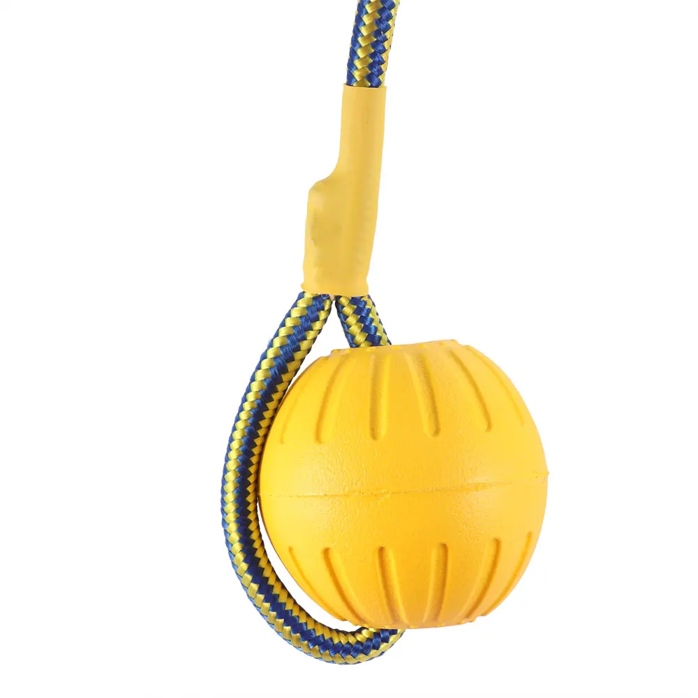 Портативный EVA шар полый укуса упорное животное собака обучение игры выборки