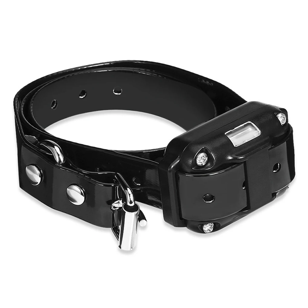 

2-in-1 Dog-Training Electronic Collar Anti Barking Non-barking Collar 800m Remote Control Vibration