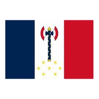 election 90x150cm vichy france flag