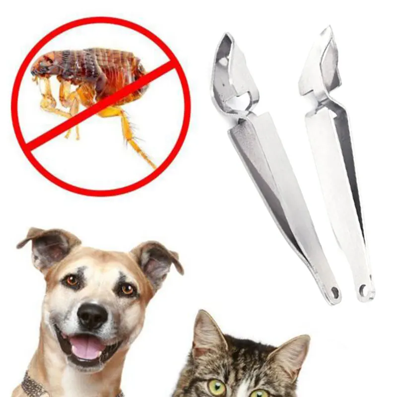 

1Pc Stainless Steel Pet Flea Removal Tool Tick Louse Tweezer Hygienic Nail File Clip Pliers for Pet Dog Cat Supplies Accesseries
