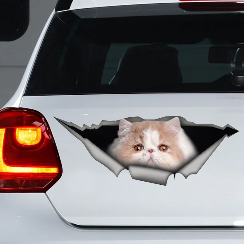 

Funny cat decal, Persian cat car sticker, cat car decal, Persian cat magnet
