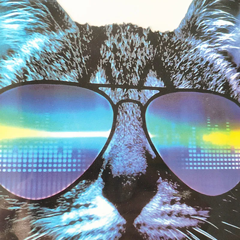 Модная уличная икона для женщин и мужчин одежда 350 мм музыкальный Кот