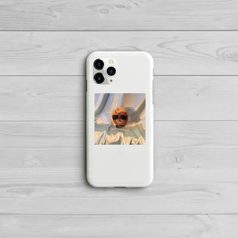 

Cute animal cat art design Phone Case Candy Color for iPhone 11 12 pro XS MAX 8 7 6 6S Plus X 5S SE 2020 XR
