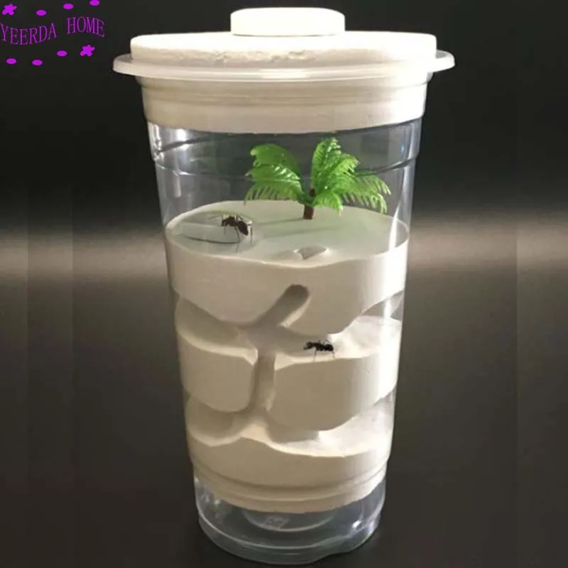 Простой сделай сам 1 шт. муравьиная ферма маленький домик для домашних животных