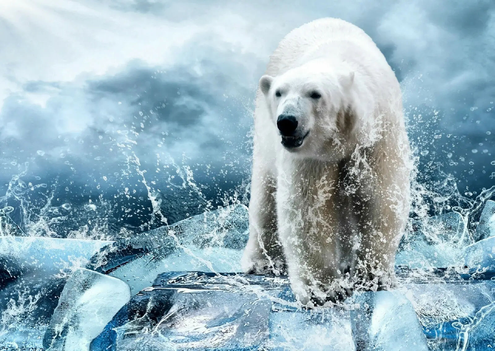 Полярный медведь дикая природа гигантская Художественная печать Шелковый