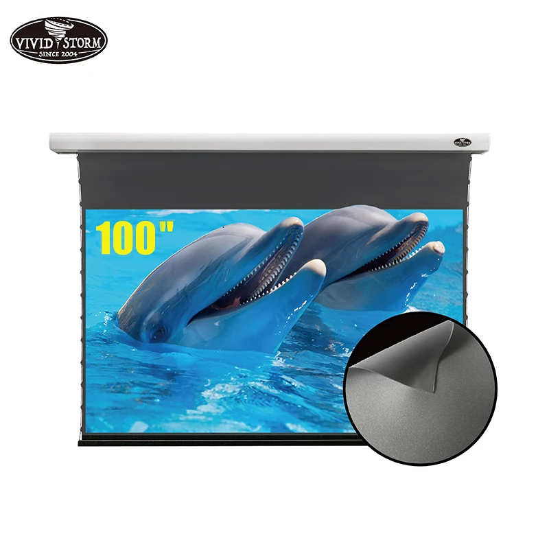 VIVIDSTORM 100 дюймовый Slimline моторизованный язычок выпадающий внутренний ALR экран