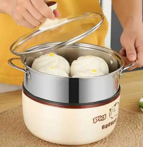 

220V Small Power Mini Multi-functional Electric Cooker Cooking Machine Pot Single or Double Layers with Steamer for Home Cooking
