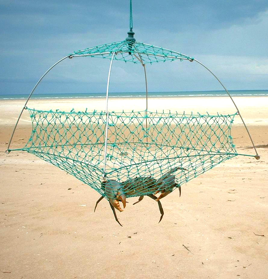

Crabbing Traps Open-sided Pot Suitable for Mud Crabs Crab Pots Blue swimmers Blue crabs, Lobsters and Large Cray fish