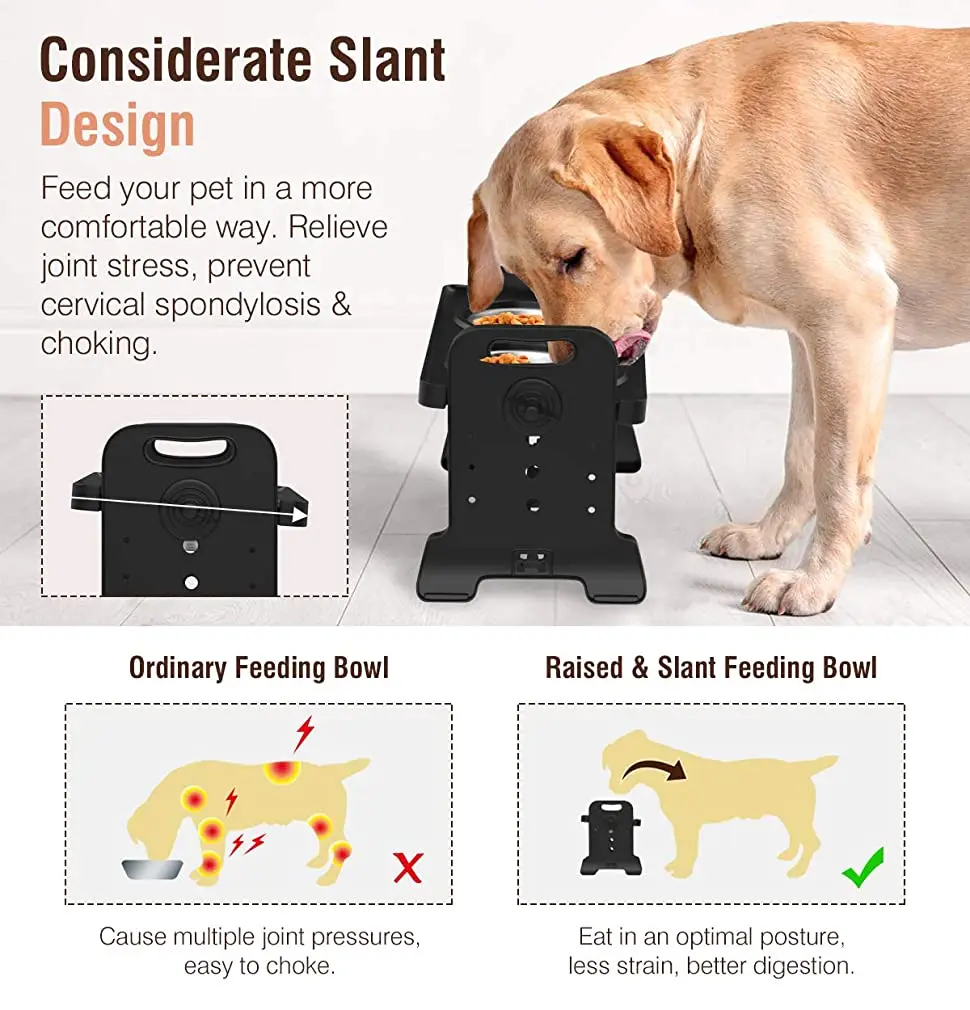 

Adjustable Height Double Bowl Pet Feeding Rack Elevated Dog Bowls Dog Dish Bowls Removable Double Bowls For Water Food