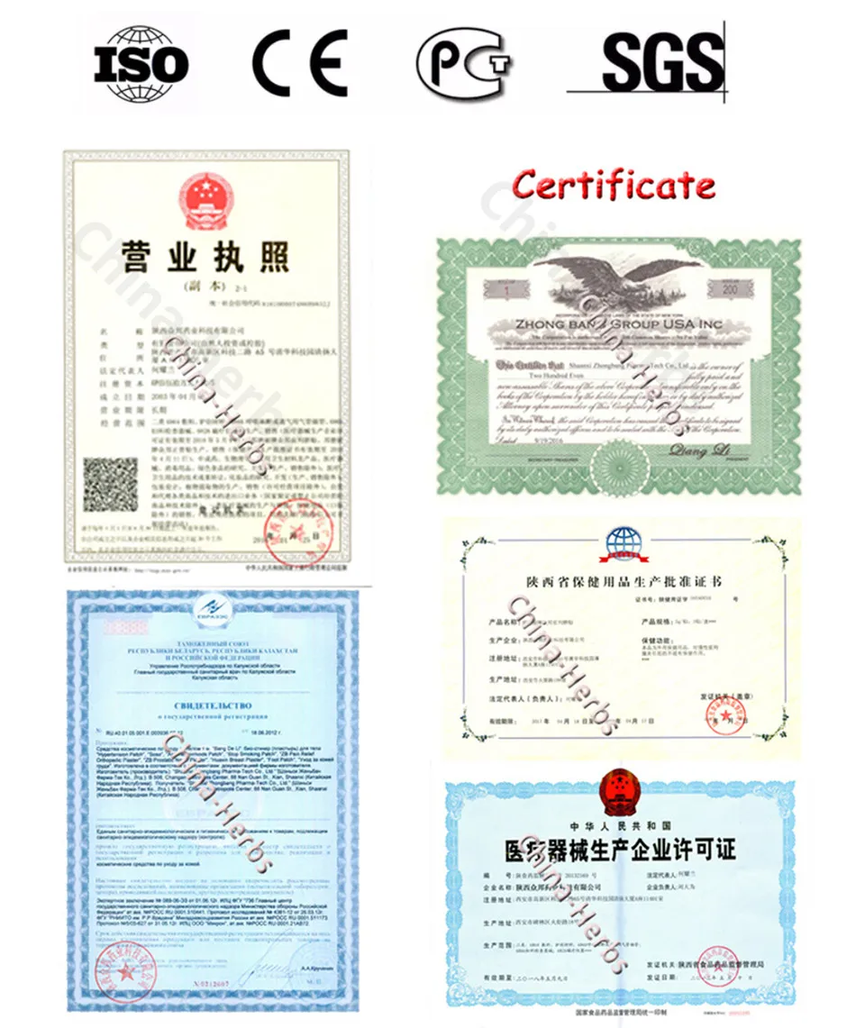 

60pcs Chinese Medicine Magnetic Patch ZB Pain Relief Orthopedic Plaster Medical Pain Relieving Patches Joint Knee Back Massage