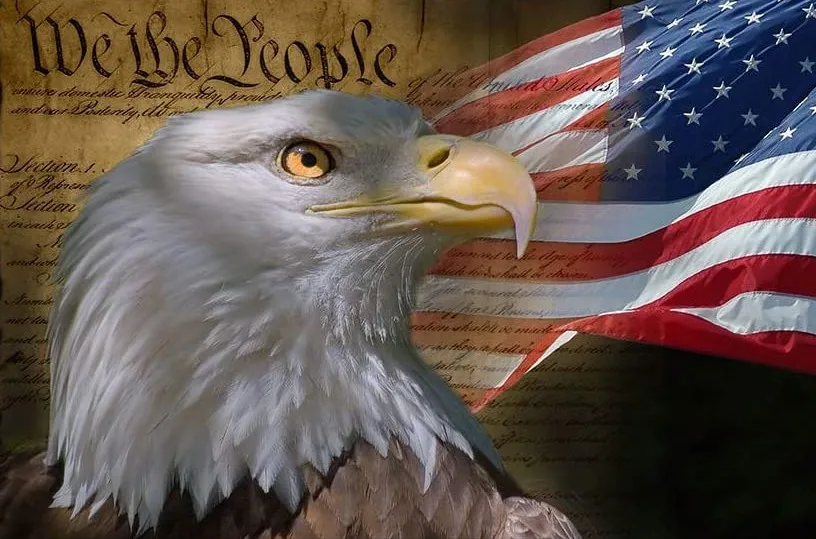 

JMINE Div 5D американский флаг с орлом полная Алмазная Краски ing наборы вышивки крестиком искусство Высокое качество животных 3D Краски алмазы