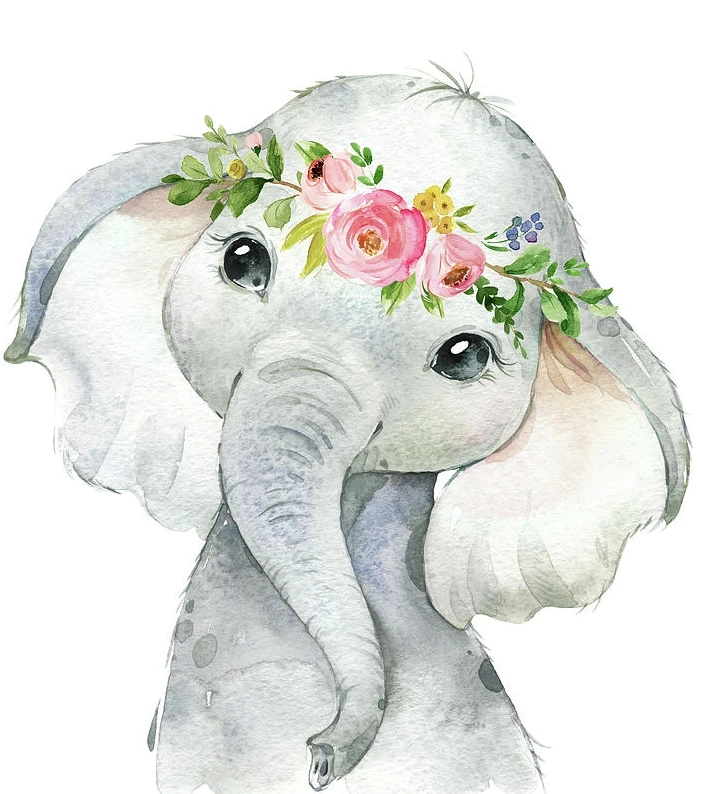 

JMINE Div 5D Baby Elephant Flower Full Diamond Painting cross stitch kits art High Quality Animal 3D paint by diamonds