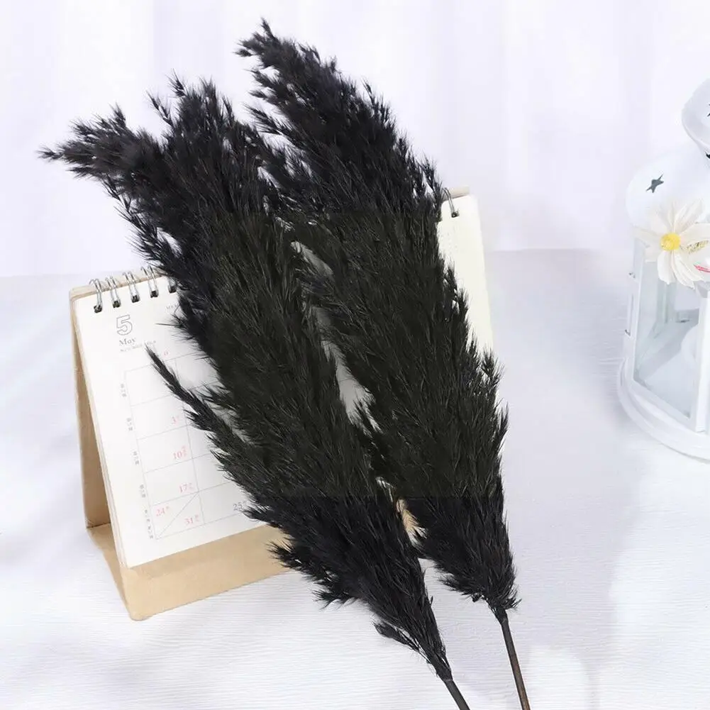 

Wedding Flowers Bunch Natural Dried Pampas Grass Flower Christmas Beautiful Black Home Reed Wedding Decoration Phragmites C W5z7