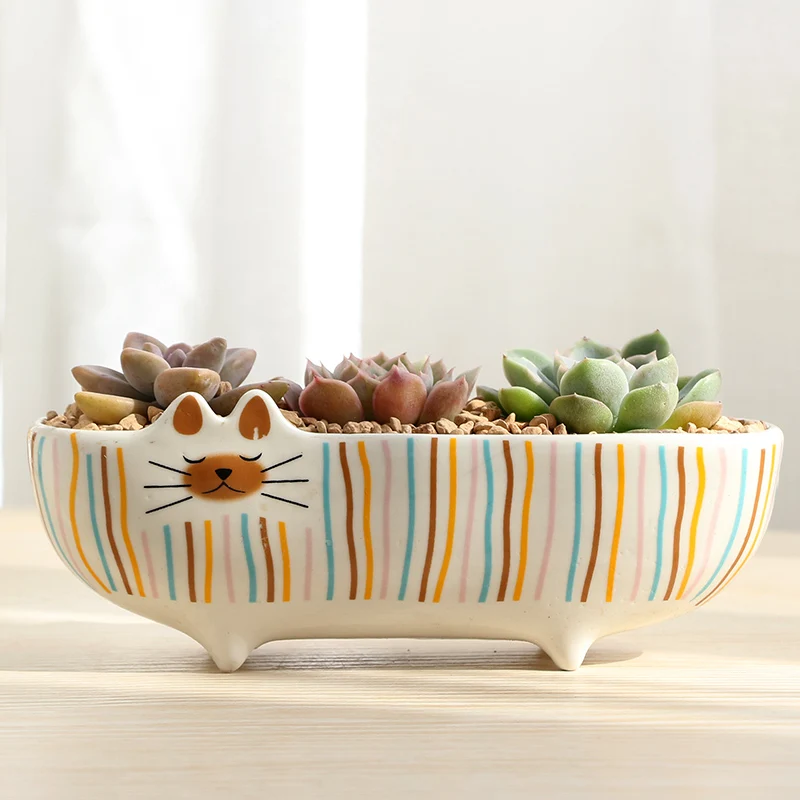 Корейский мультфильм кошка мульти-мясо маленький цветочный горшок Ретро дышащая