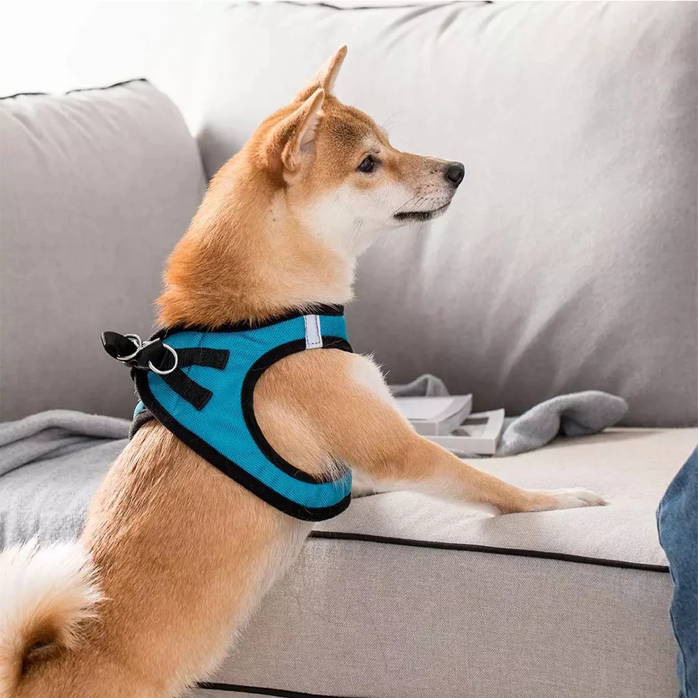 

Breathable Dog Harness Vest Comfortable Double Anti-Break Free Dog Chest Straps With Night Reflection Pet supplies For Dogs Cat