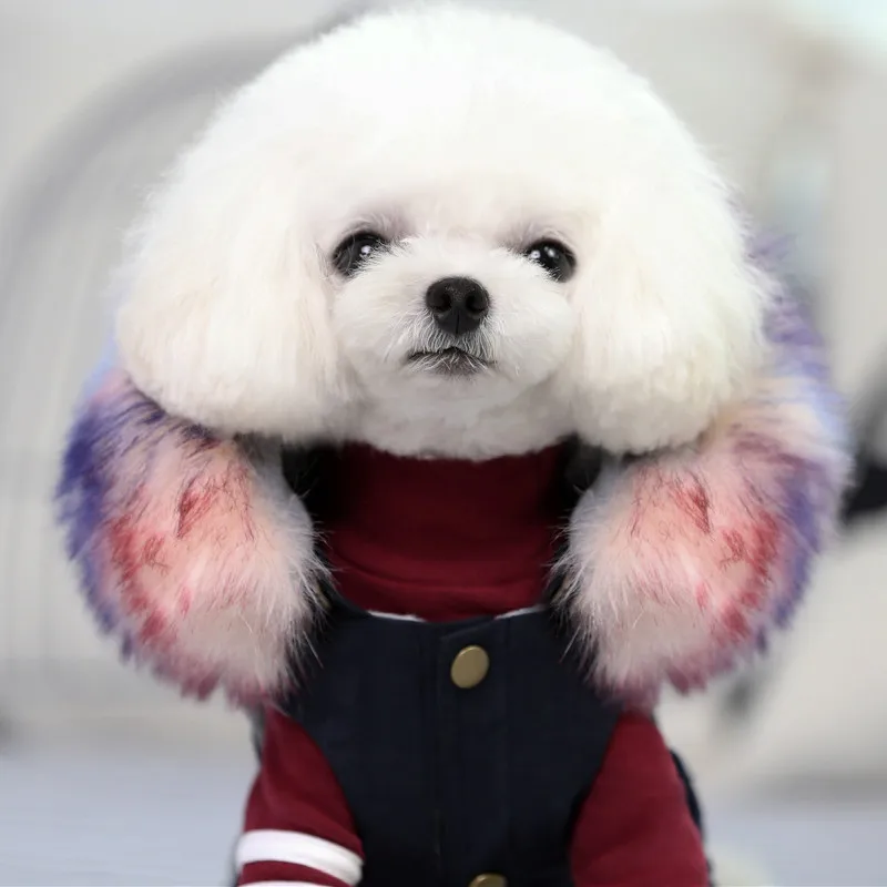 Одежда для кошек пальто домашних животных куртка толстовки французский бульдог