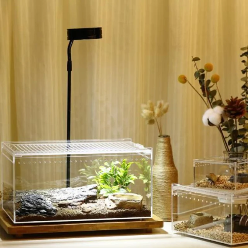 

Acrylic Breeding Insect Box Reptile Collection Garden Insect House Terrarium Praying Mantis Insektenhotel Insect Supplies