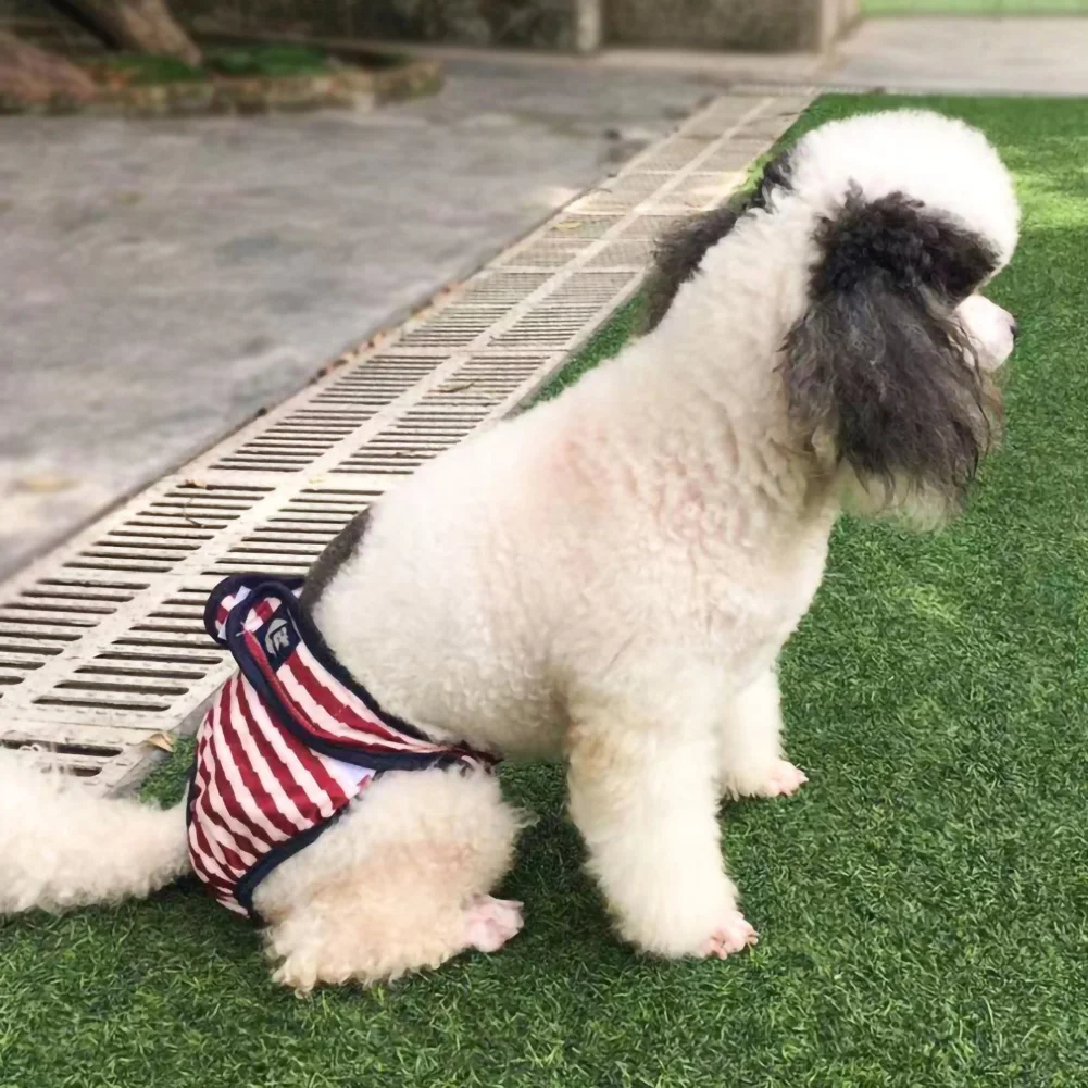 

Pet Diapers Girl Dog Puppy Pants Pet Menstruation Underwear Physiological Diaper Dogs Sanitary Panties Shorts