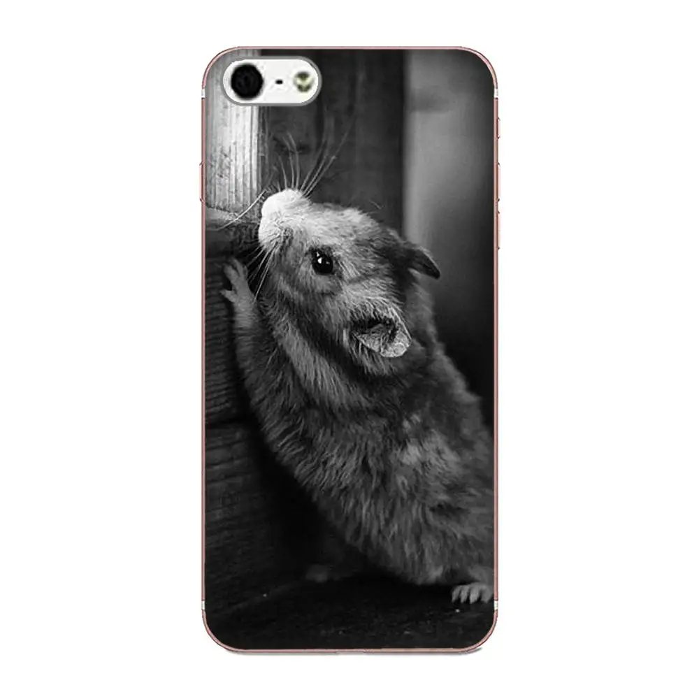 Чехол Хомяк из ТПУ для мобильного телефона Samsung Galaxy Note 5 8 9 S3 S4 S5 S6 S7 S8 S9 S10 5G mini Edge Plus