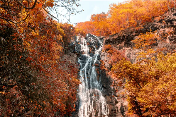 

SHENGYONGBAO Art Fabric Custom Photography Backdrops Props Photo Studio Waterfall theme Background 20228-01